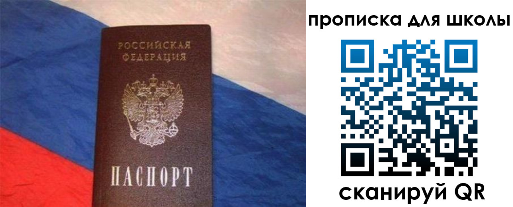 прописка поиск в Бердске